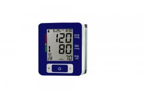 Digital BP Monitor online