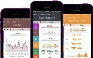 Health monitoring app