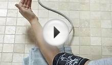 Digital Blood Pressure Arm Monitor